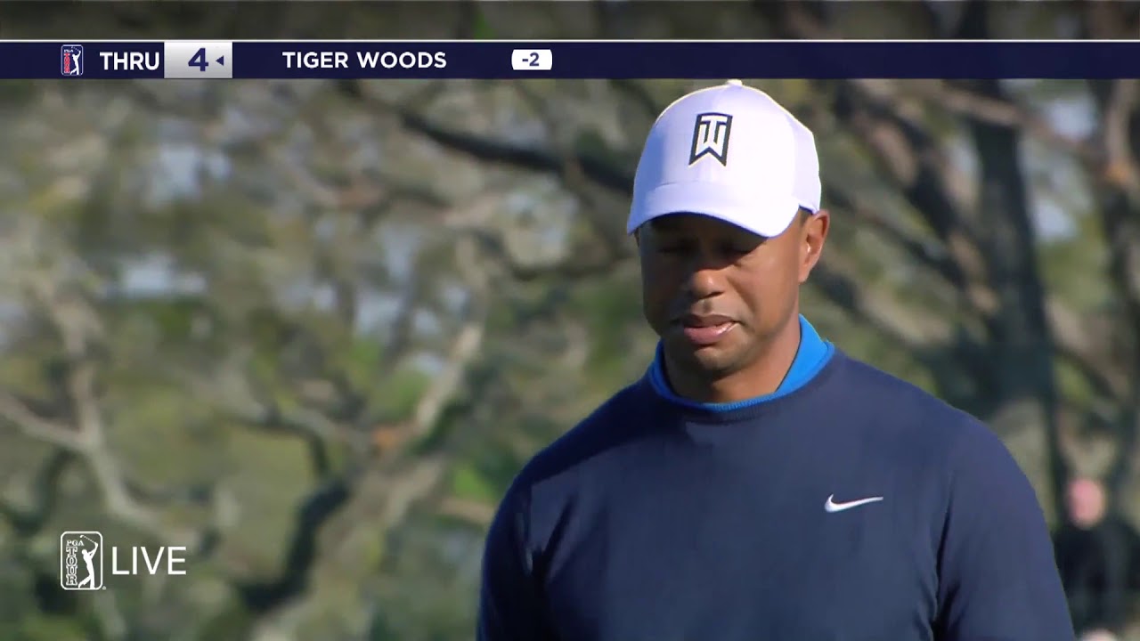 Tiger Wears Tape – BirdieWrap