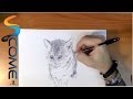 Disegni Di Cane E Gatti Insieme Da Colorare