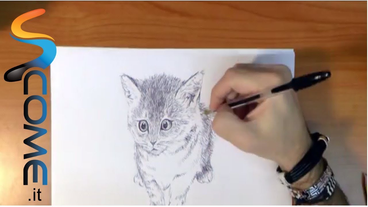 Disegna un gatto facilmente