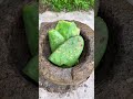These Chinese people make paper from wood #shortvideo