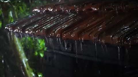 Giông bão đêm cho một giấc ngủ ngon Mưa lớn trên mái ngói & Sấm sét dữ dội