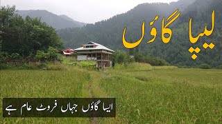 A Village in Pakistan where Fruits are totally free | Travel to Leepa Valley Kashmir