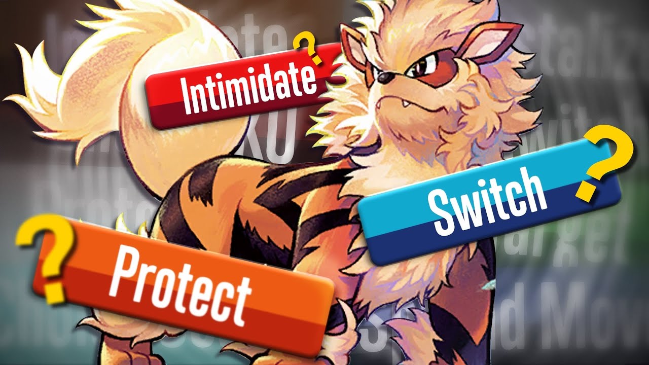 Explaining the turns that won a HUGE Pokémon tournament YouTube