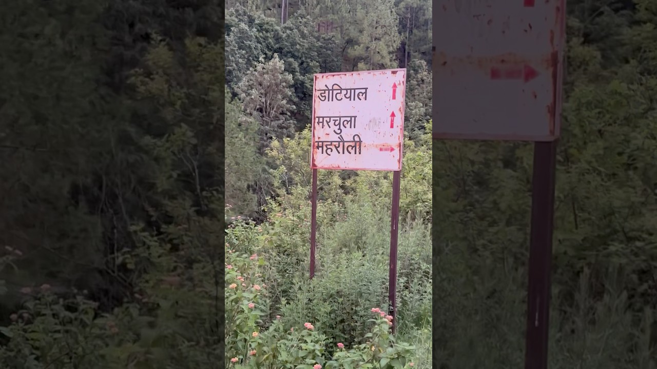 आप कहा से हो 