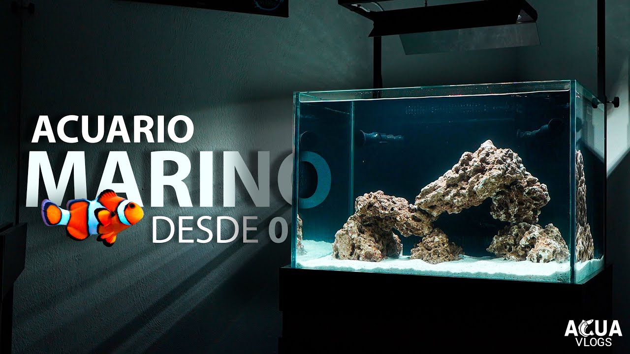 Mi PRIMER ACUARIO MARINO desde CERO | Episodio 1
