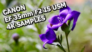 Canon EF 35mm F2 IS USM 4K Video Samples