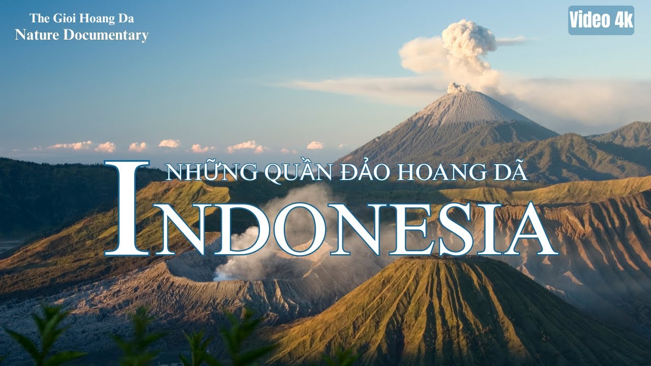 INDONESIA hoang dã | Khám phá quần đảo đẹp nhất đông nam á #thegioidongvat #thếgiớihoangdã #animals