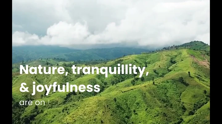 Your Own Paradise - Launching Soon