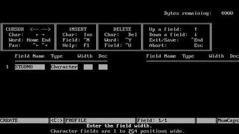Creating Database Structure in Dbase3+