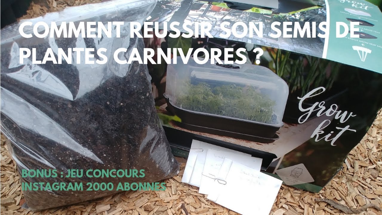 Comment réussir son semis de Plantes Carnivores ? 🥜