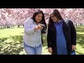 Brooklyn Museum And Botanical Garden