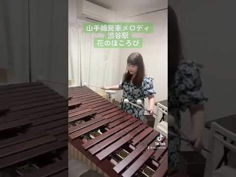 山手線発車メロディ弾いてみた 山手線 弾いてみた 発車メロディ 発車メロディー Marimba 鉄道 電車 Japan 渋谷駅 Tokyo