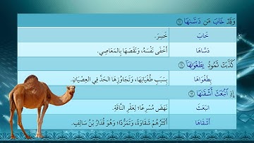 106- سورة الشمس - شرح غريب القرآن - تقديم عماد بن أنور الديب