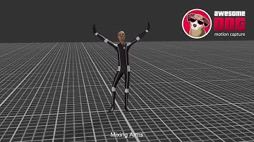Fun and Silly Dances Unity 3D MoCap Demo