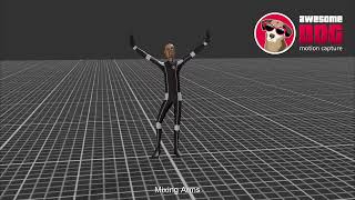 Fun and Silly Dances Unity 3D MoCap Demo
