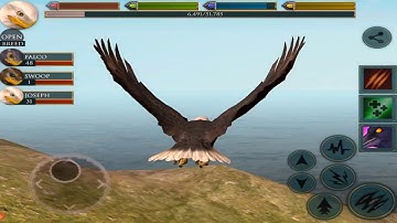 🦅Eagle Simulator, Ultimate Bird Simulator
