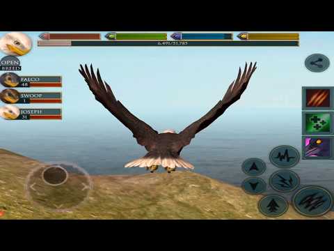 🦅Eagle Simulator, Ultimate Bird Simulator