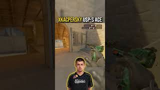 No One Survived Xkacperskys Pistol