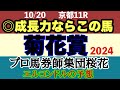エルコンドル氏の菊花賞2024予想！！いよいよクラシック最終戦！人気馬に不安要素あり？！その中で成長力感じるならこの馬だ！