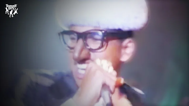 Digital Underground - The Humpty Dance (Official M...
