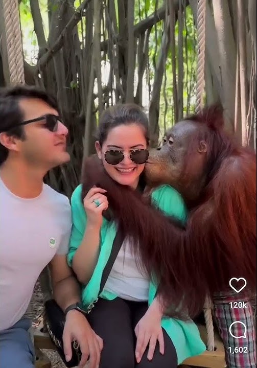 Minal Khan stuck in between monkey and Ahsan Khan 🤣