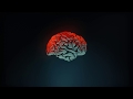 Speed up your practice and gain objective decision support with SyMRI NEURO