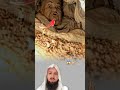 اعوذب لله من شر مخلوقات غريبه الطف بنا يارب متابعه لايك اشتراك اكسبلور