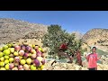 The hard but sweet life of nomads | Fishing in the Khersan River and picking figs in the mountains
