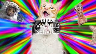 1カ月SNS禁止に耐えられる？　英国がデジタルデトックスを推奨