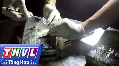 THVL | Người đưa tin 24G: Phát hiện 100 bánh cocaine trong container phế liệu ở Bà Rịa - Vũng Tàu