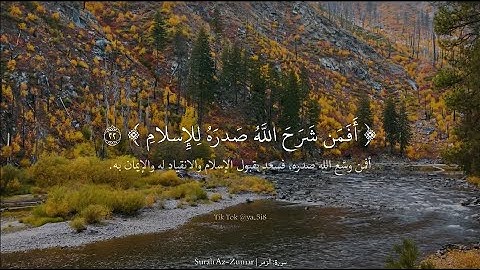 ﴿ أَفَمَن شَرَحَ اللَّهُ صَدرَهُ لِلإِسلامِ ﴾ سورة الزمر