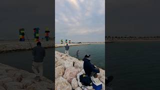 The best nearest fishing spot in Doha City - 974 stadium beach