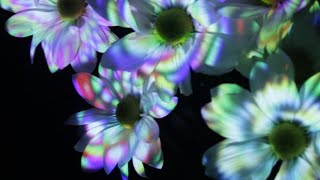 Lightform Tutorials - Mapping Details