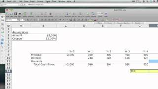 Debt With Warrants, Part Ii