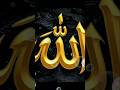 Islamic dpz collection ♥️ || Allah Muhammad name dp images for WhatsApp #allah #love
