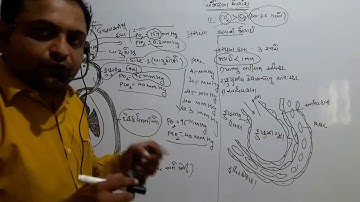 NEET |  BIOLOGY |  LECTURE 2 | PATHAK SCHOOL AMRELI