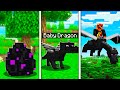 How to Train Your Dragon in MINECRAFT! (Pet Ender Dragon)