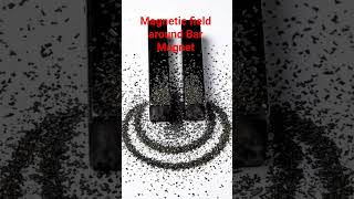 #funexperiments #science #experiements #magneticfieldlines