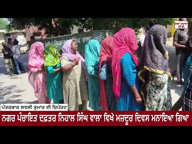 ਨਗਰ ਪੰਚਾਇਤ ਦਫ਼ਤਰ ਨਿਹਾਲ ਸਿੰਘ ਵਾਲਾ ਵਿਖੇ ਮਜ਼ਦੂਰ ਦਿਵਸ ਮਨਾਇਆ ਗਿਆ