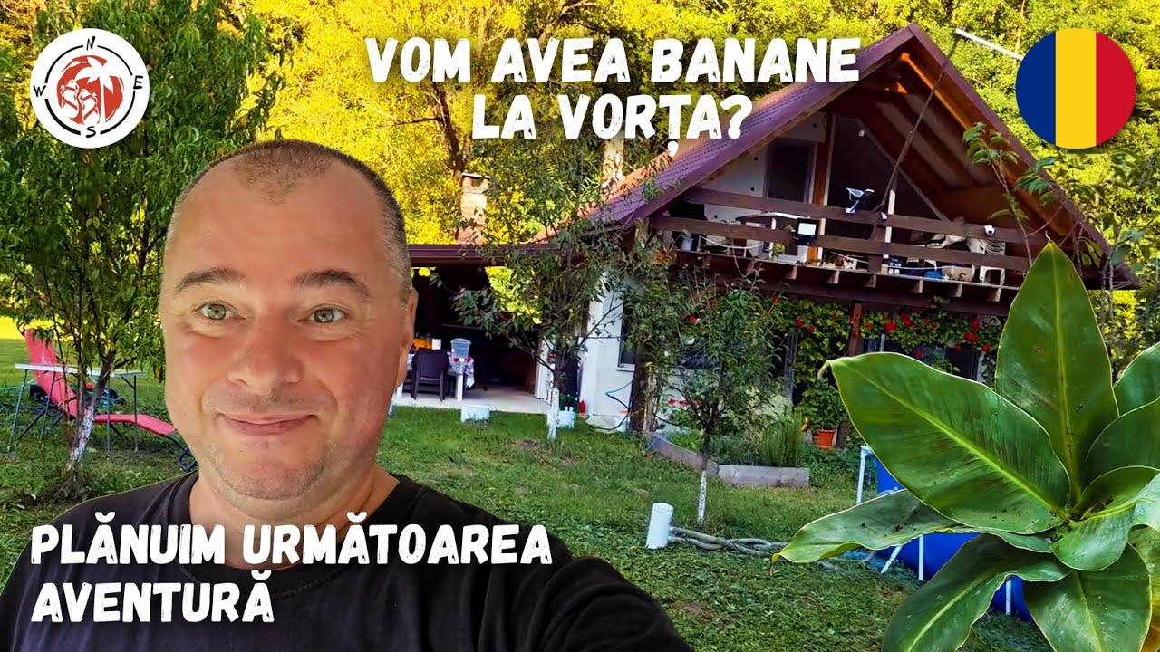 Am plantat Bananieri la Vorța! Planuri noi de călătorie