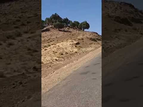 حاول گيخميمن عفاش أيولينو على الطريق الرابطة ما بين انرگي و تكلفت بأزيلال