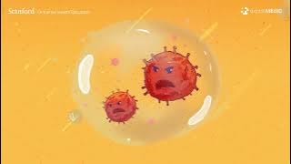 Cara Koronavirus Memasuki Badan dan Tahap Keterukan Gejala yang Dicetuskan