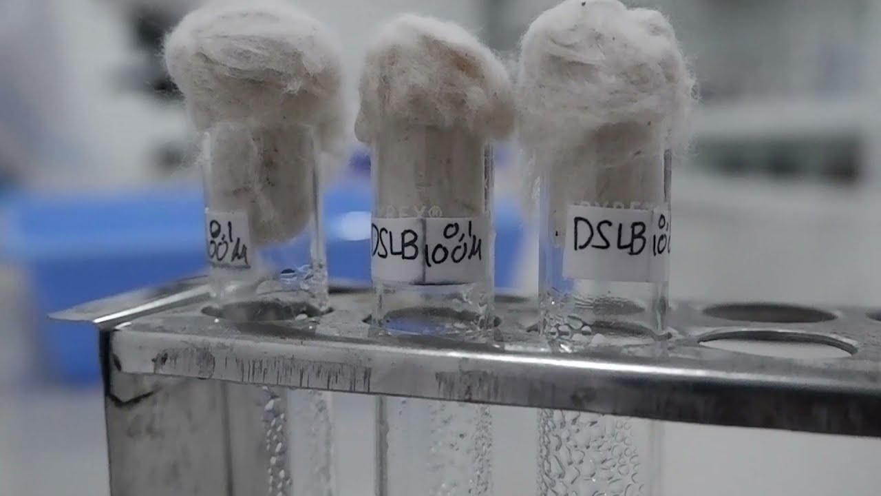 [EDUTELKI 2021] TLM STIKES BANYUWANGI | Pemeriksaan Bakteriologi Metode MPN (Most Probable Number)