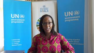 Unep Message For The Ccac Working Group