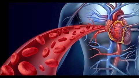 667 QuickFlow PE Technical Video