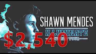 How I Made $2,540 on Shawn Mendes Tickets Profile