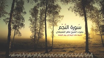 سورة النجم بصوت ماهر المعيقلي    An-Najm