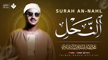 كأنه يبحر في بحر من الخشوع والسكينة ¦ سورة النحل كاملة ¦ الشيخ محمد صديق المنشاوي