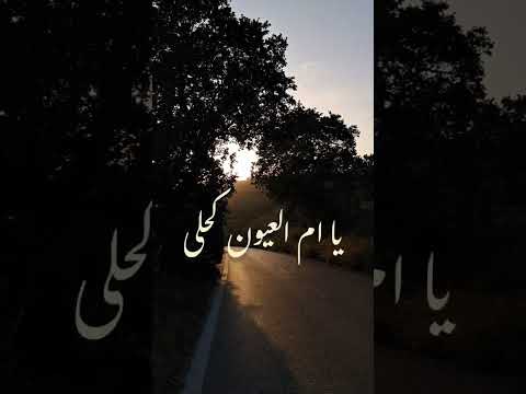 مهما حتفكري وقبل ما تقدري انا حبي ليكي كبير فوق ماتتصوري