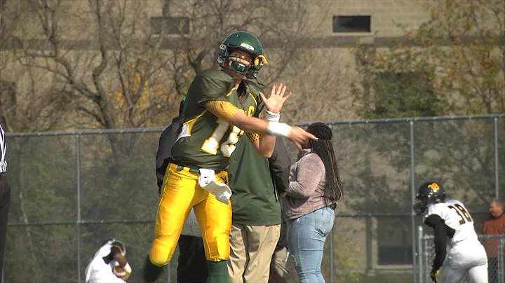 Metea Valley vs. Waubonsie Valley Playoff Football, November 1, 2014